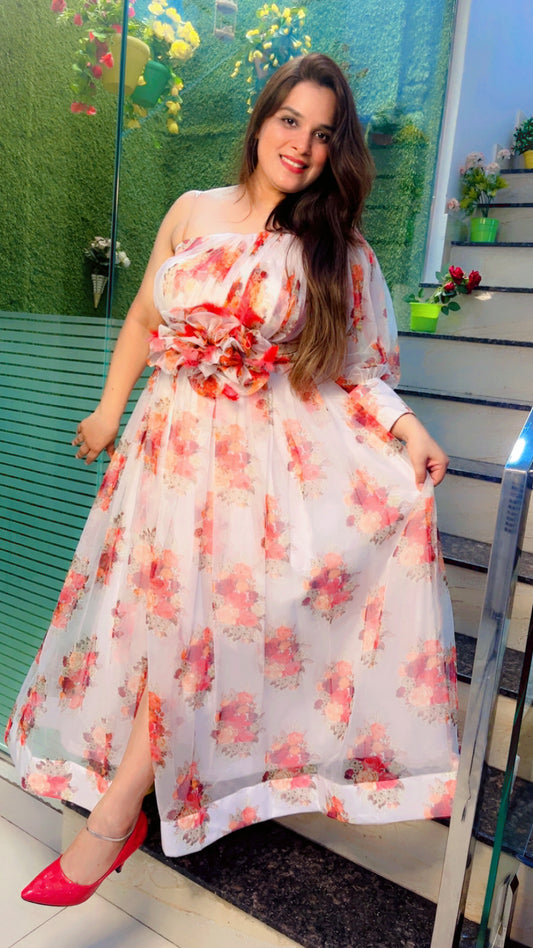 Designer Organza Dress