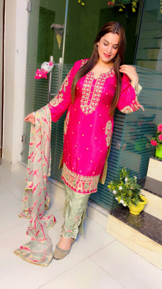 Embroidered Pakistani Suits