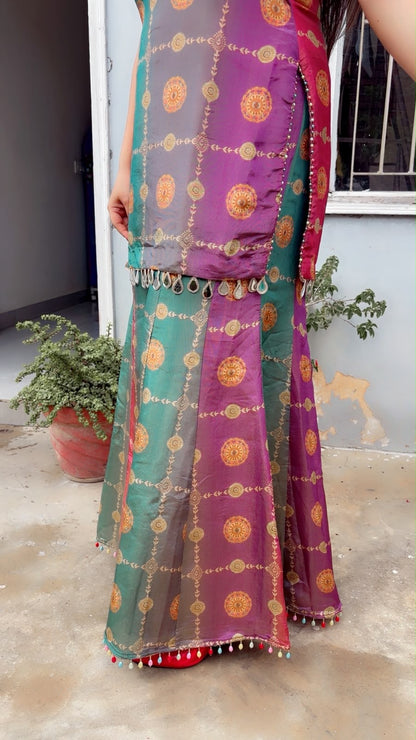Multi-Colour One Shoulder Top And Palazzo Set (CS063)