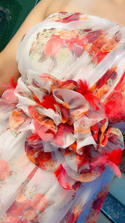 Designer Organza Dress