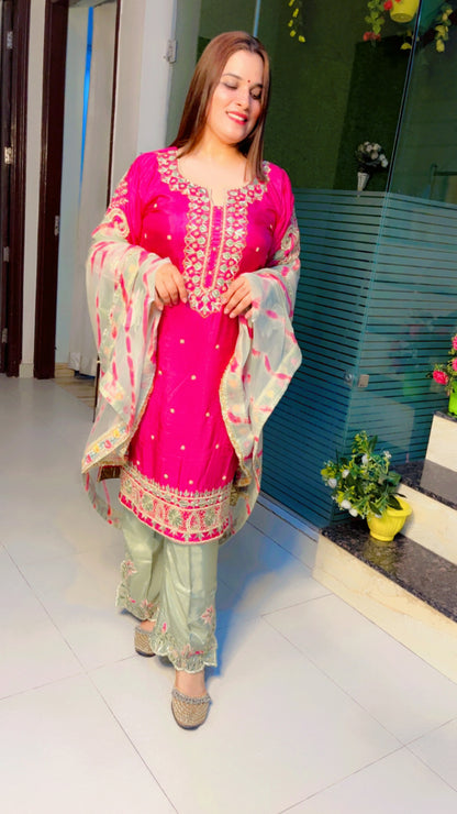 Embroidered Pakistani Suits