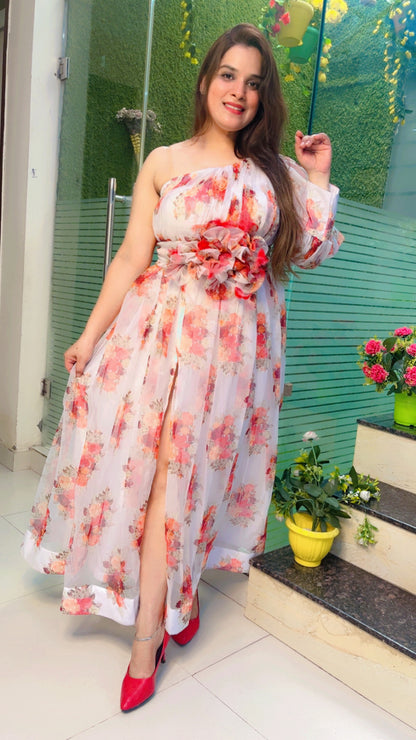 Designer Organza Dress