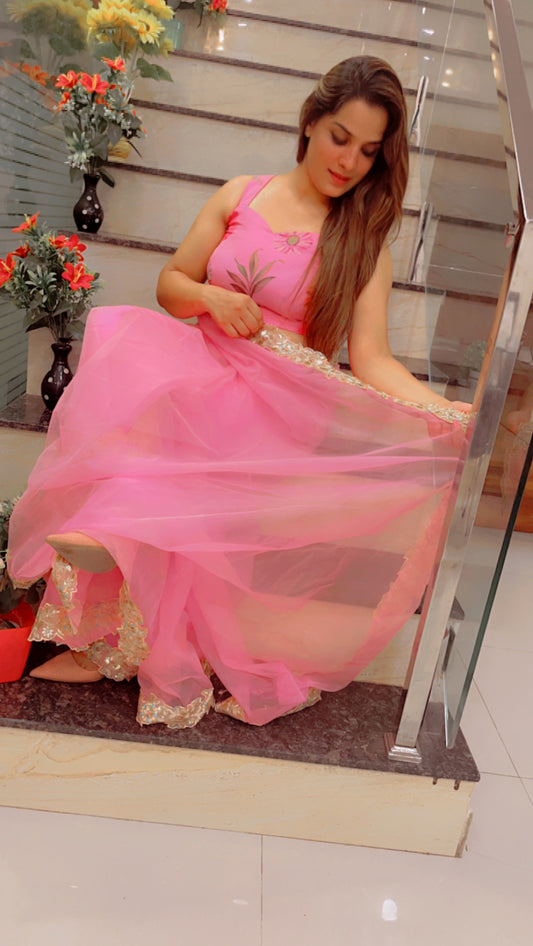 Light Pink Laceworked Saree For Summers (SR022)