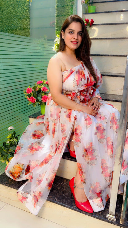 Designer Organza Dress