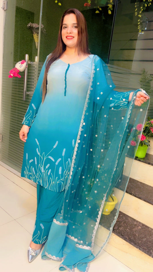 Farshi Salwar Suit
