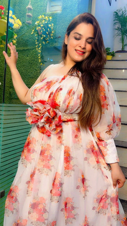 Designer Organza Dress