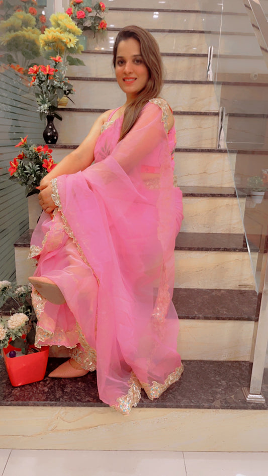 Light Pink Laceworked Saree For Summers (SR022)