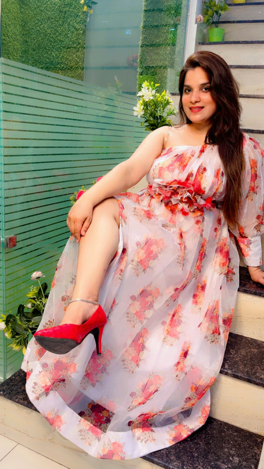 Designer Organza Dress