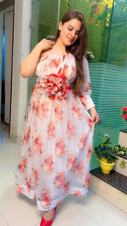 Designer Organza Dress
