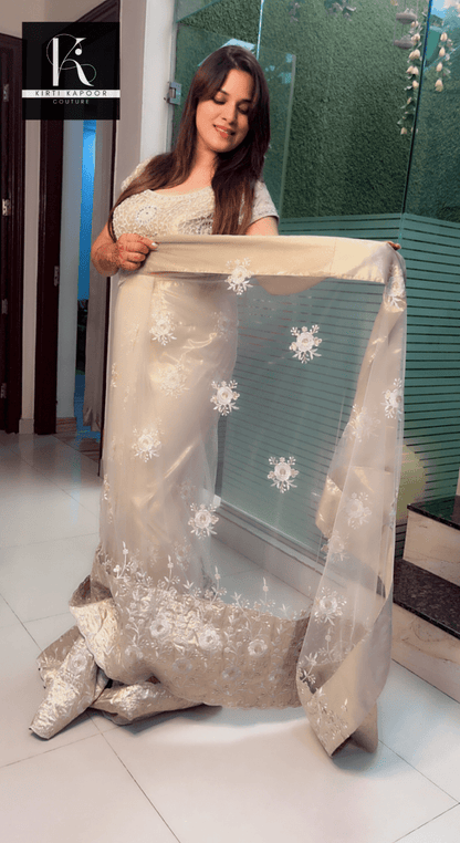 Beige Worked Net Saree with a Designer Blouse - Kirti Kapoor Couture