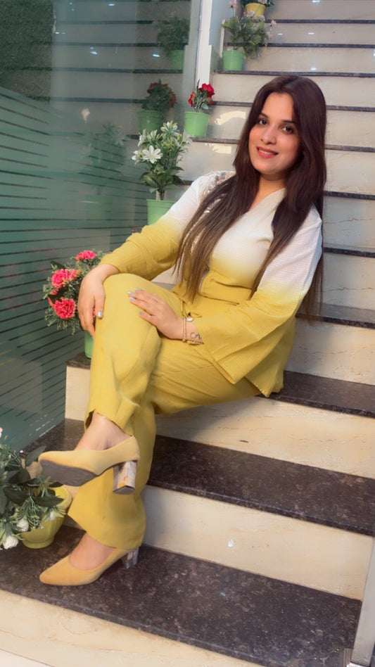 Ombre Style Embroidered Co - ord Set - Kirti Kapoor Couture